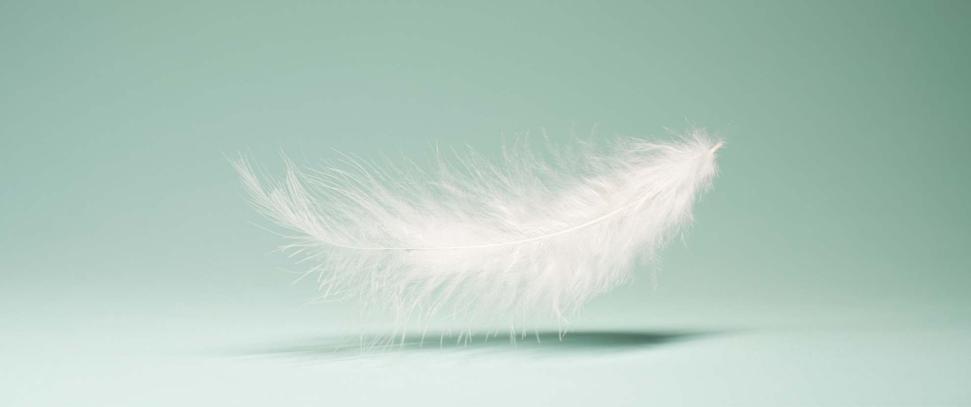 Lernen ist nicht weich